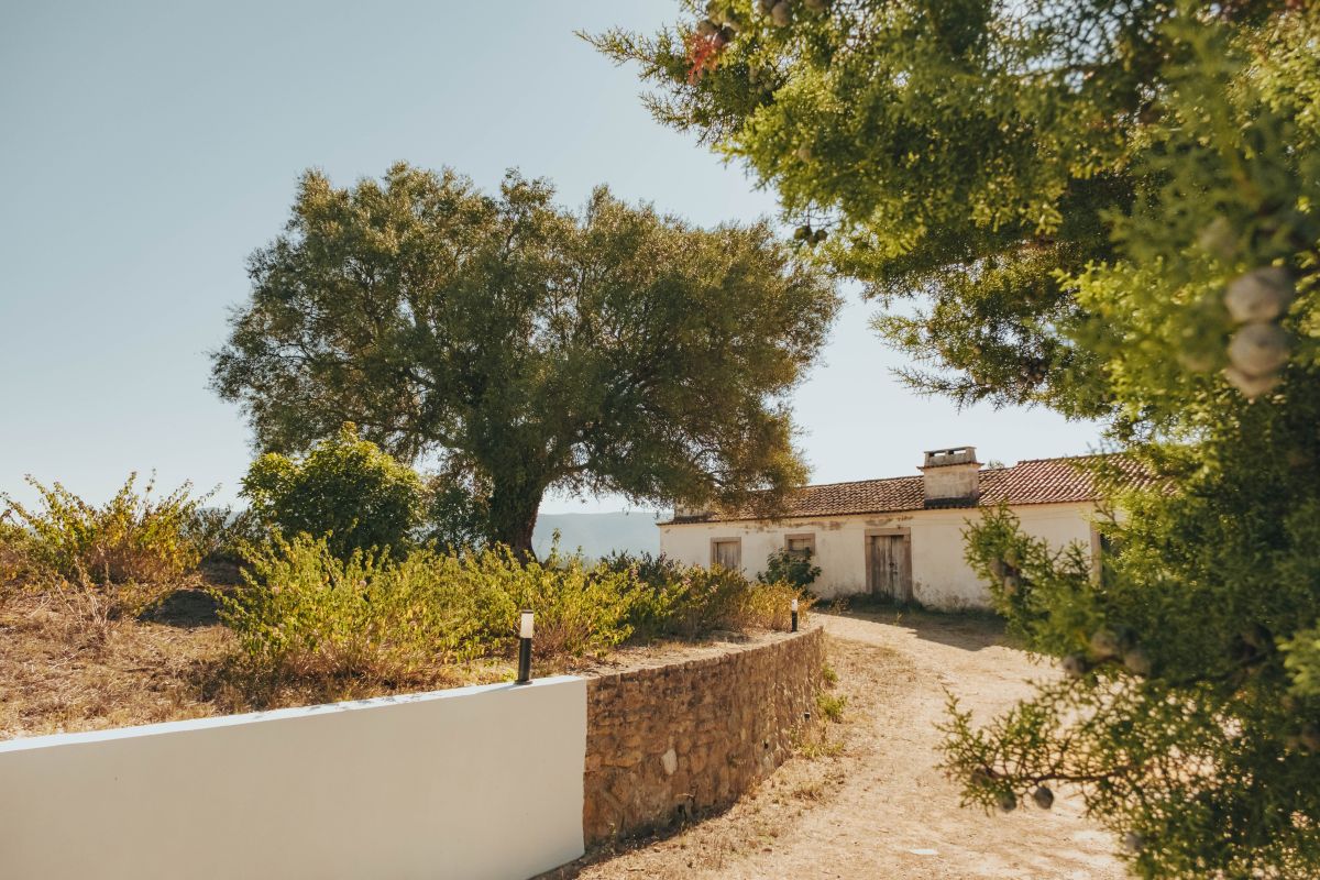 Arrábida-219 resize